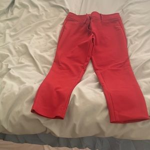 Ann Taylor Loft Petites capri pants
